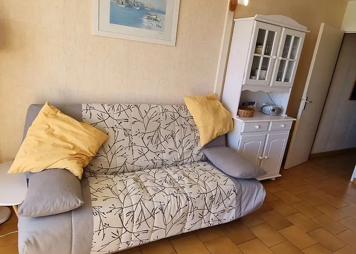 Apartman T2 Climatise Avec Piscine Et Parking A 20m De La Mer, Pour 5 Pers - Fr-1-607-100