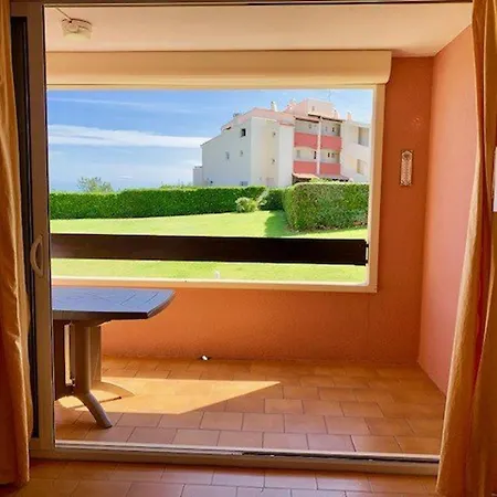 T2 Climatise Avec Piscine Et Parking A 20m De La Mer, Pour 5 Pers - Fr-1-607-100 Apartment